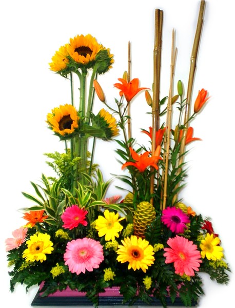 Arreglos Florales Cali  Radiante