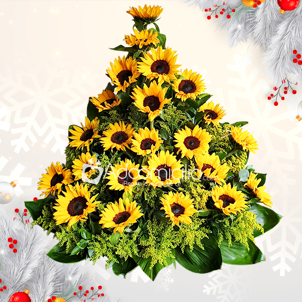 Girasoles Para Regalar En Navidad A Domicilio En Manizales