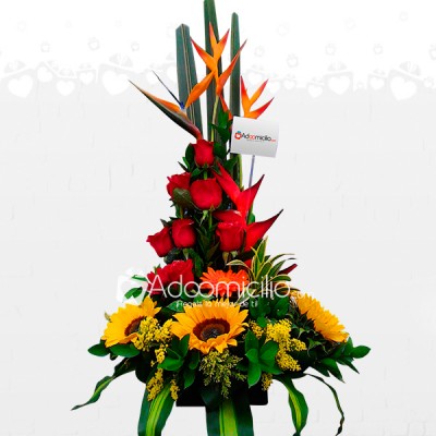 Regalos De Amor Arreglos Florales A Domicilio En Pereira