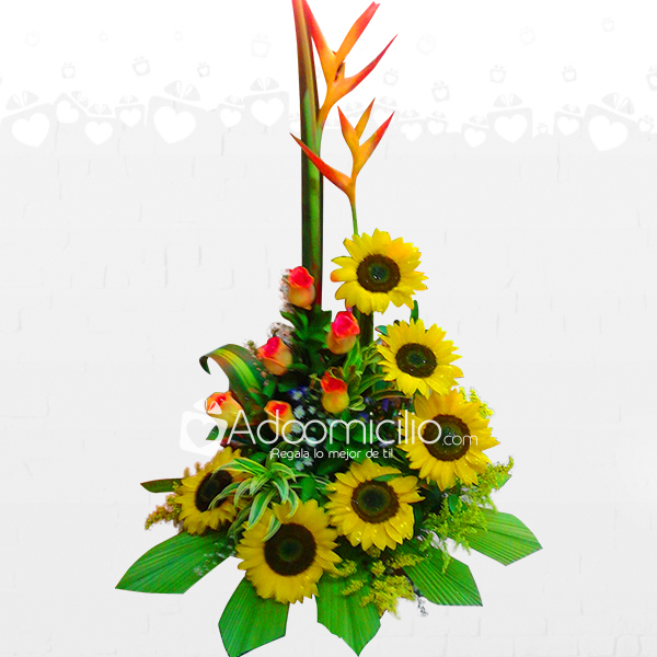 Girasoles Para Enamorar Arreglos Florales A Domicilio En Pereira